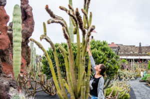 Kaktusgarten Lanzarote