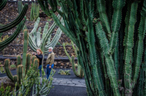Kaktusgarten Lanzarote