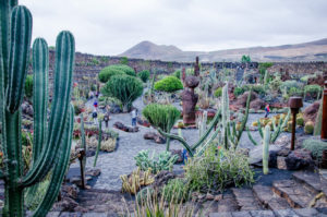 Kaktusgarten Lanzarote