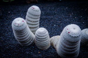 Michelinmaennchenkaktus