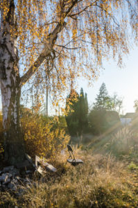 kreativitaet birke