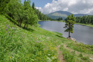 see zirbe kaernten