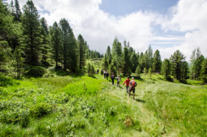wandern turracher hoehe