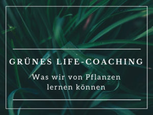 Gruenes Life Coaching