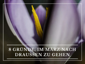 wildpflanzen-im-maerz
